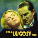 Wall Calendar 2026 [12 pages 8"x12"] DRACULA BELA LUGOSI Frankenstein Vampire Vintage Posters Silent Film Horror Movie