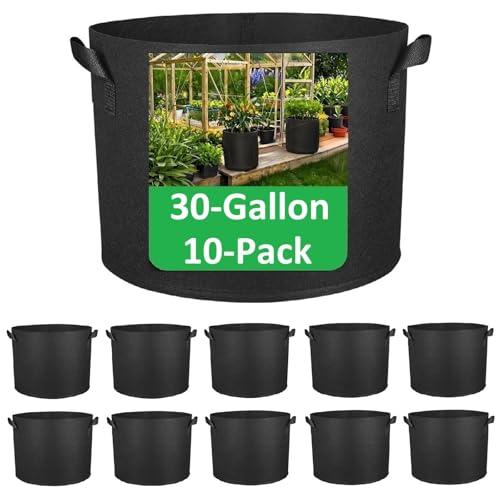 ANSLYQA 30-Gallon Grow Bags, (10 Pack) Thickened Aeration Fabric Growing Pots Planters with Handles for Planting Vegetables Plants, Black