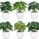 Briful 6PCS Fake Plants Potted Artificial Plants, Mini Faux Plants in White Pots Greenery Dcor for Home Office Table Shelf Bathroom Farmhouse Indoor Decoration (Type#3)