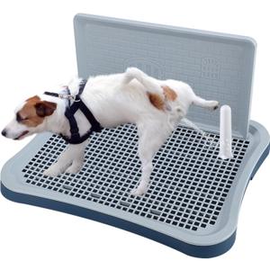 Pee Pad Holder, Dog Potty Tray with Splash Guard, Indoor Potty for Small Dogs, Waterproof and Easy to Disassembly and Cleaning Dog Toilet