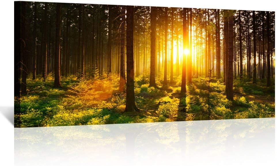 KREATIVE ARTS Silent Forest in Spring with Beautiful Bright Sun Rays Canvas Prints Morning Scene Landscape Painting Giclee Art Work Long Pictures for Wall Decorations 20x48in