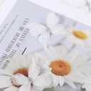 SUQ I OME 12pcs of White Butterfly Decorations for Curtains draperys,Bedroom Living Room Girl's Rooms