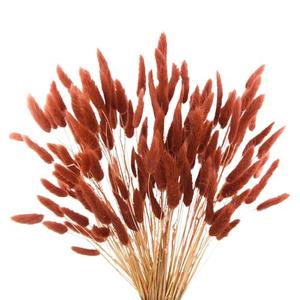 Burnt Orange Bunny Tails Dried Flowers,17" Dried Faux Pampas Grass Bulk Decor Fall Pampas Dried Boho Flowers Lagurus Ovatus Rabbit Bunny Tail Grass for Home Wedding Decor Crafts