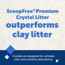 PetSafe ScoopFree Premium Crystal Cat Litter - Outperforms Clay Litter - Refill Packs - Reusable Tray Compatible - Fragrance Free - 4.3 lb Bags - 2 Pack