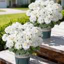 Geraniums Artificial Flowers for Outdoors, 2 Pack Potted Plants White Faux Geraniums Bush Artificial Topiaries Realistic UV Resistant Fake Flowers Plants for Planters Outside Gardens Front Door Indoor