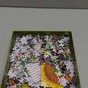 BenBen 1000 Piece Puzzle for Adults, 25 Fibonacci Spirals in Nature, Jigsaw Puzzles with Letters on Back, Challenging Puzzle for Game Night Home Dcor