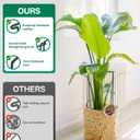 Breeze Touch 8 Pack Plant Support Stakes, 16 Inch Plant Stakes for Outdoor Plants, Peony Cage with 15 Pcs Green Lables, Peony Cages and Supports, Peonies Support Cages Flower Stakes for Plants