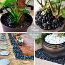 Black River Rocks - Large Polished Black Pebbles for Plants & Garden Decorative Stones, 1-2 Inch, 15 Pound