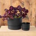 Root & Vessel Majestic Mid-Century Modern Low Profile Cylinder Pot, Matte Black, 12.5"