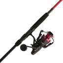 Penn Fierce IV Spinning Reel and Fishing Rod Combo, 8000 Size Reel - 10' - Heavy - 2pc
