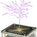 WARDENCLYFFE Music Tesla Coil Plasma Loudspeaker STEM Educational Physics Toy (Model:Tesla Coil 8)