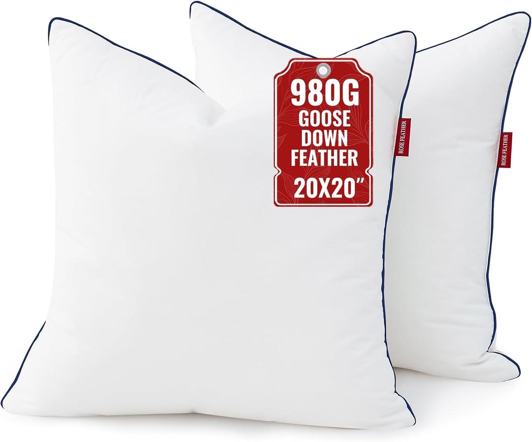 Feather Down 20x20 Pillow Insert Set of 2 with 100% Down-Proof Cotton Cover, Soft Fluffy Decorative Pillow for Sofa Bed Couch Living Room White