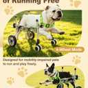 4-Wheel Dog Wheelchair for Back Legs - Switch Between 2 & 4-Wheel Modes, Helps Pets Walk Run and Play Again, Suitable for Small/Medium Pets Under 16.5 lbs (M) HPWC-4WM