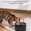 Cat Water Fountain, 71oz/2.1L Cat Fountain for Drinking with Copper Faucet, MISFANS-Designed Pump & Filter, Plastic Automatic Pet Water Fountain Bowl & Dispenser with 3-Pack Replaceable Filters