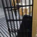 Dog Pen Pet Playpen Dog Fence Indoor Foldable Metal Wire Exercise Puppy Play Yard Pet Enclosure Indoor Outdoor 8 Panels 30 Inch with Bottom Pad/Top Cover(Black 30 top Cover)