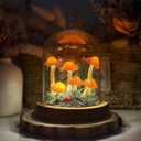 Mushroom Lamp, Decor LED Light in Glass Dome with Base for Home Bedroom Decor Birthday with Birthday Valentines Anniversaries Gifts Box (Orange)