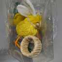 RAZ Imports Box of Chick Napkin Rings, 6 inches