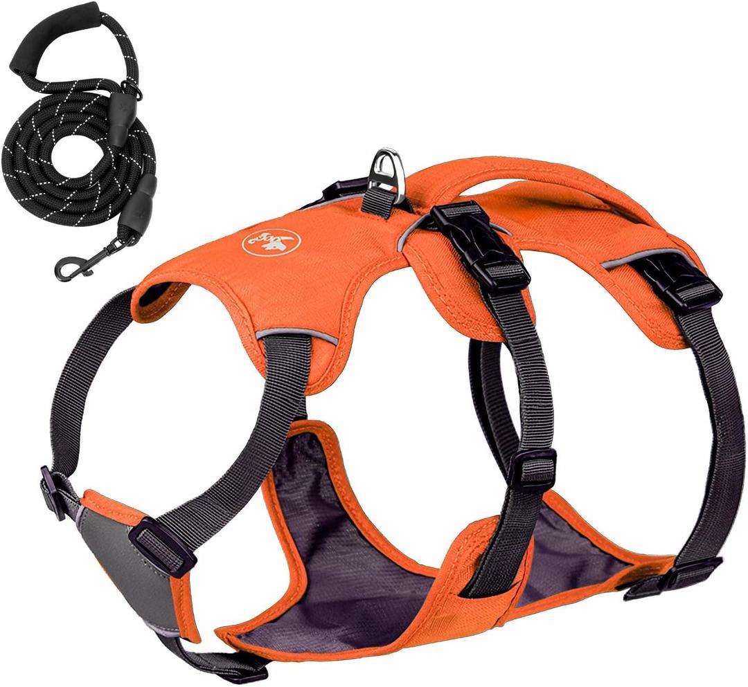 No-Pull Dog Harness, Reflective Waterproof Harness with Easy Control Handle for Safe Walking, Adjustable Dog Vest Harness for Large Medium Small Dog, Breathable Pet Harness with Leash Set (Orange)
