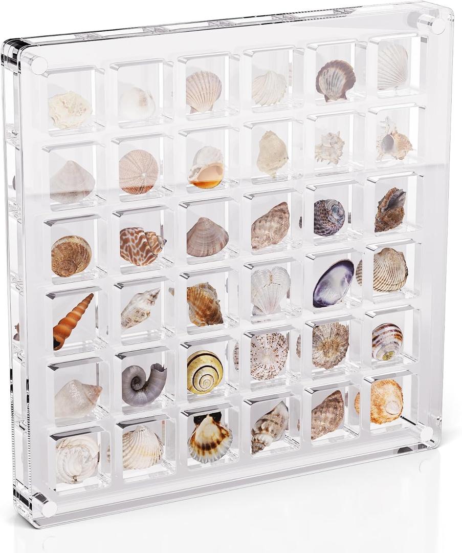 Acrylic Seashell Display Box - 36 Grid Clear Acrylic Seashell Display
