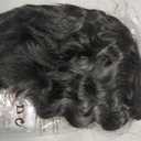 PUREHAIR Short Black Wavy Hair Wig with Mustache for Gothic Family Halloween Costume Funny Cosplay (Adults)