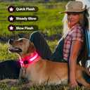 Light Up Dog Collar for Night Walking Flashing, LED Dog Collar Light Rechargeable Reflective Dog Collar Water-Resistant Adjustable Size Dog Collars for Medium Dogs (Pink)
