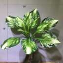 2Pcs Artificial Halcyon Hosta Perennial Plants 19" Large Faux Cordyline Shade Plant for for Home Garden Office Decoration
