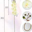IPOPU 40.16" Champagne Orchid Artificial Flowers 5PCS Look Real Faux Orchids Long Stem Fake Orchid Stems Phalaenopsis for Tall Vase for Bridal Shower Home Party Wedding Decoration (Champagne)