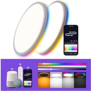 12 Inch 2 Pack RGB LED Flush Mount Smart Ceiling Light with Night Light 2700K, 24W 2400LM Ultra-Slim Ceiling Light Fixture with Remote, 16 Million DIY Colors, Compatible with Alexa/Google Assistant