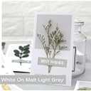 COLORTY Replacement for Brother P-Touch Label Maker Tape TZe 12mm 0.47 Laminated Compatible with Brother P Touch Label Maker PT-D210 PT-H110 PT-D400AD PT-P710BT TZe-231 Pastel Tape Cassette, 6 Pack (White/Pink/Green/Gold/Grey/Gold)