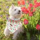 4 x Lionheart glory Floral Dog Bandana Spring Summer Dog Bandana 1 Pack Washable Soft Dog Scarf, Square Adjustable Dog Bandanas for Small Dogs, Red Roses
