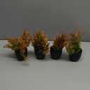 Der Rose Fall Fake Plants 4 Packs Artificial Plants Small Faux Plants Black Bathroom Accessories Fall Decorations for Home Bathroom Home Office Desk Fall Decor Indoor