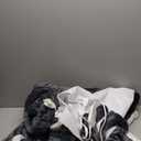 Wearable Heated Blanket Heated Shawl, Electric Throw Blanket with Zipper Design, Hood, Heated Hoodie Blanket with 8 Heat Levels, 1-10H Auto-Off Time Settings, Gift for Family, Friends, 60 * 50"