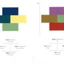 A Dictionary Of Color Combinations Vol 1 (Japanese Edition) Paperback