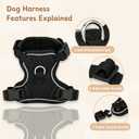 Small Dog Harness and Leash Set, Reflective Soft Breathable Mesh Vest, 3 Buckles, Adjustable Neck and Chest,Step in Dog Harness for Walking, Running, Training, Black, XS