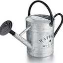 Garutom Galvanized Watering Can for Outdoor Indoor Plants, 1 Gallon Decorative Countryside Style Water Can with Removable Spout, Perfect Metal Watering Can for Indoor Plants and Garden Flower