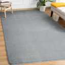 Andecor Soft Area Rug, 4x6 Grey Washable Rugs for Living Room Bedroom, Indoor Fluffy Carpets for Dorm Boys Girls Kids Room Nursery Home Decorations