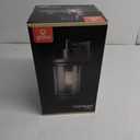 Xavier 1-Light Matte Black Hardwired Outdoor Indoor Wall Lantern Sconce with Seeded Glass Shade