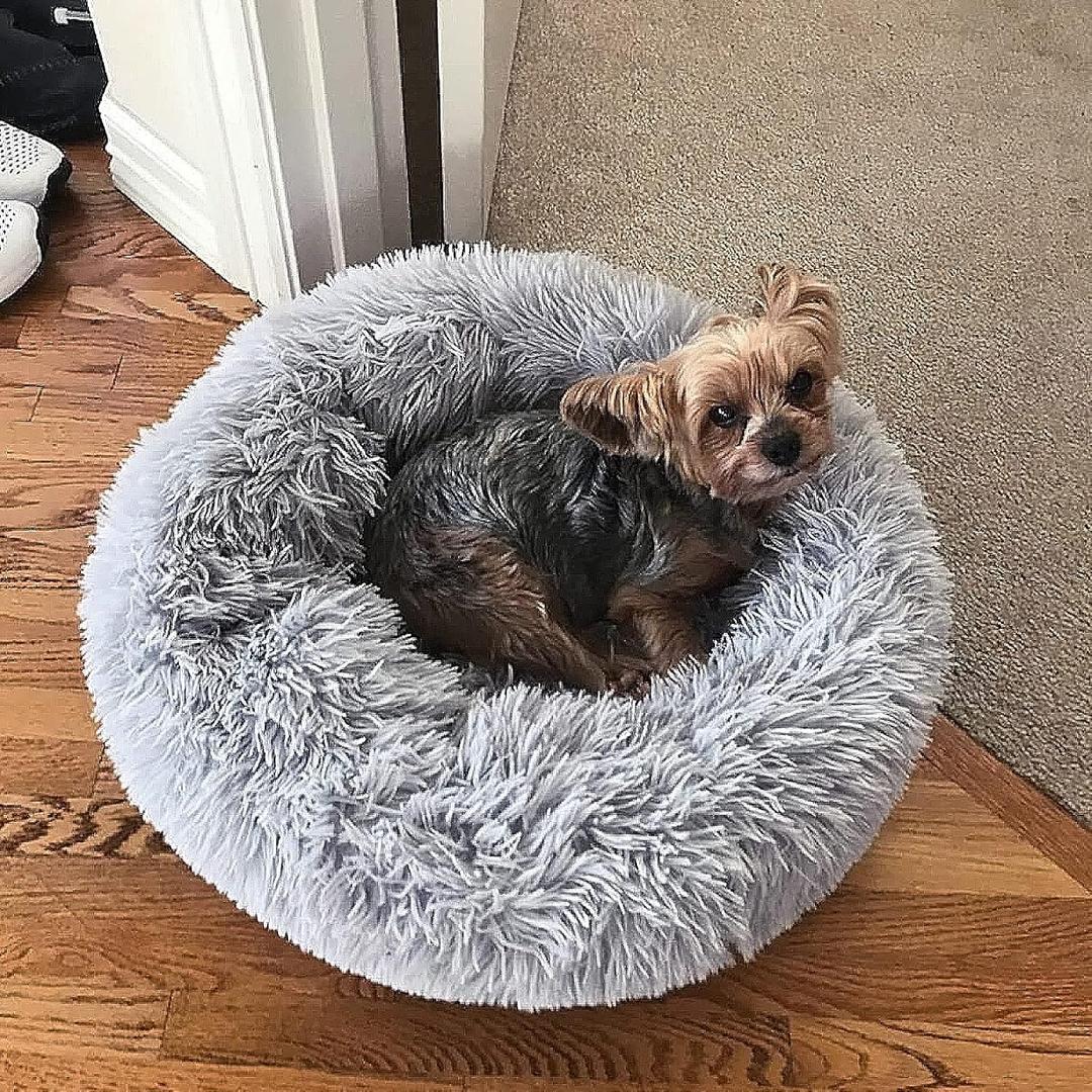 nononfish Cute Plush Dog Bed for Small Dogs, 19 inches Anti Anxiety Puppy Bed, Washable, Fits up to 15 lbs (Grey)