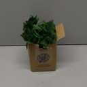 CQURE 24 Pack 168Ft Artificial Ivy Fake Vines,Ivy Garland Greenery Garland Fake Hanging Plants Vines Aesthetic Green Leaves for Bedroom Wedding Party Garden Wall Room Decor