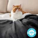 Bedsure GentleSoft Sherpa Fleece Twin Size Blanket for Couch, Non-Heated, Thick and Warm Throw for Women and Men, Soft Fuzzy Plush Twin Blanket for Winter, Charcoal, 60x80 Inches