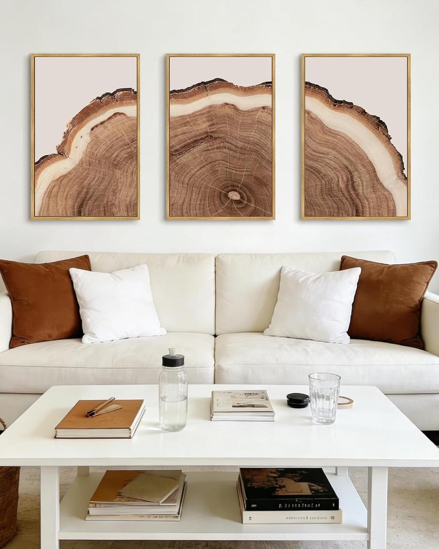 Drsoum Vintage Retro Tree Rings Wood Framed Wall Art Modern Wood Stump Nature Rustic Artwork Bedroom Living Room Ready to Hang 16x24in Natural Framed, 24L" x 16W", Natural Framed