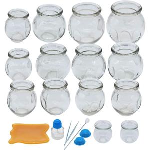 Cupping Therapy Sets,14 Cups Thick Chinese Acupoint Glass Cupping Therapy Set for Professionals,for Massage Back and Relieve Fatigue