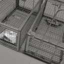 Humane Squirrel Trap - 2 Pack, Rat Trap That Works 12.5"x6.5"x5.5", Small Rodent, Chipmunk Trap Cages | Catch and Release | Reusable and Durable | No Kill Animal Trap | Indoor for Home and Outdoors