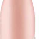 Brita Premium Filtering Water Bottle, Stainless Steel, Rose, 32 oz | BPA-Free, Reusable, Insulated, Replaces 300 Plastic Water Bottles, Filter Lasts 2 Months, 40 Gallons, Includes 1 Filter