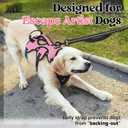 rabbitgoo Escape Proof Dog Harness Medium, Soft Padded Full Body Pet Harness, Reflective Adjustable No Pull Vest with Lift Handle and Leash Clip for Walking Hiking Training, Light Pink, M