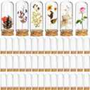 50 Pack 40 ml Glass Cloche Dome, 3 Inch Small Glass Bottles with Cork Stoppers, Decoration Message Bottle Vial Cork for Candy, DIY Art Crafts, Wedding Party Favors