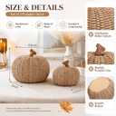 Fuutreo 2 Pack 6.9in 4.3in Thanksgiving Resin Wicker Pumpkin Fall Decor
Thanksgiving Woven Pumpkin Decor, Autumn Artificial Farmhouse Table Centerpieces, for Harvest Party Tiered Tray Shelf