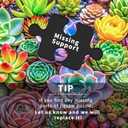 Vibrant Succulents Jigsaw Puzzles for Adults 1000 Pieces Puzzle Clearance Challenging Adult Puzzles 1000 Pieces Perfect for Game Nights Finished Size is 27.5 x 19.6 inch