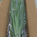 Artificial Bird of Paradise Plant Fake Tropical Palm Tree for Indoor Outdoor, Perfect Faux Plants for Home Garden Office Store Decoration (Bird of Paradise 120cm)