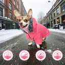 PETLESO Dog Coat for Small Dogs, Winter Dog Jacket Cold Weather Windproof Warm Puffer Jacket with Leash Hole, Button Fixable Hat, Pink XL